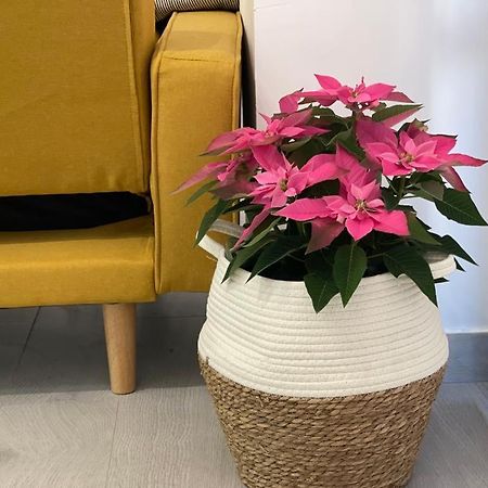 Nuevo Apartamento Folin Don Benito Bagian luar foto