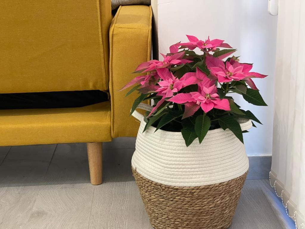 Nuevo Apartamento Folin Don Benito Bagian luar foto